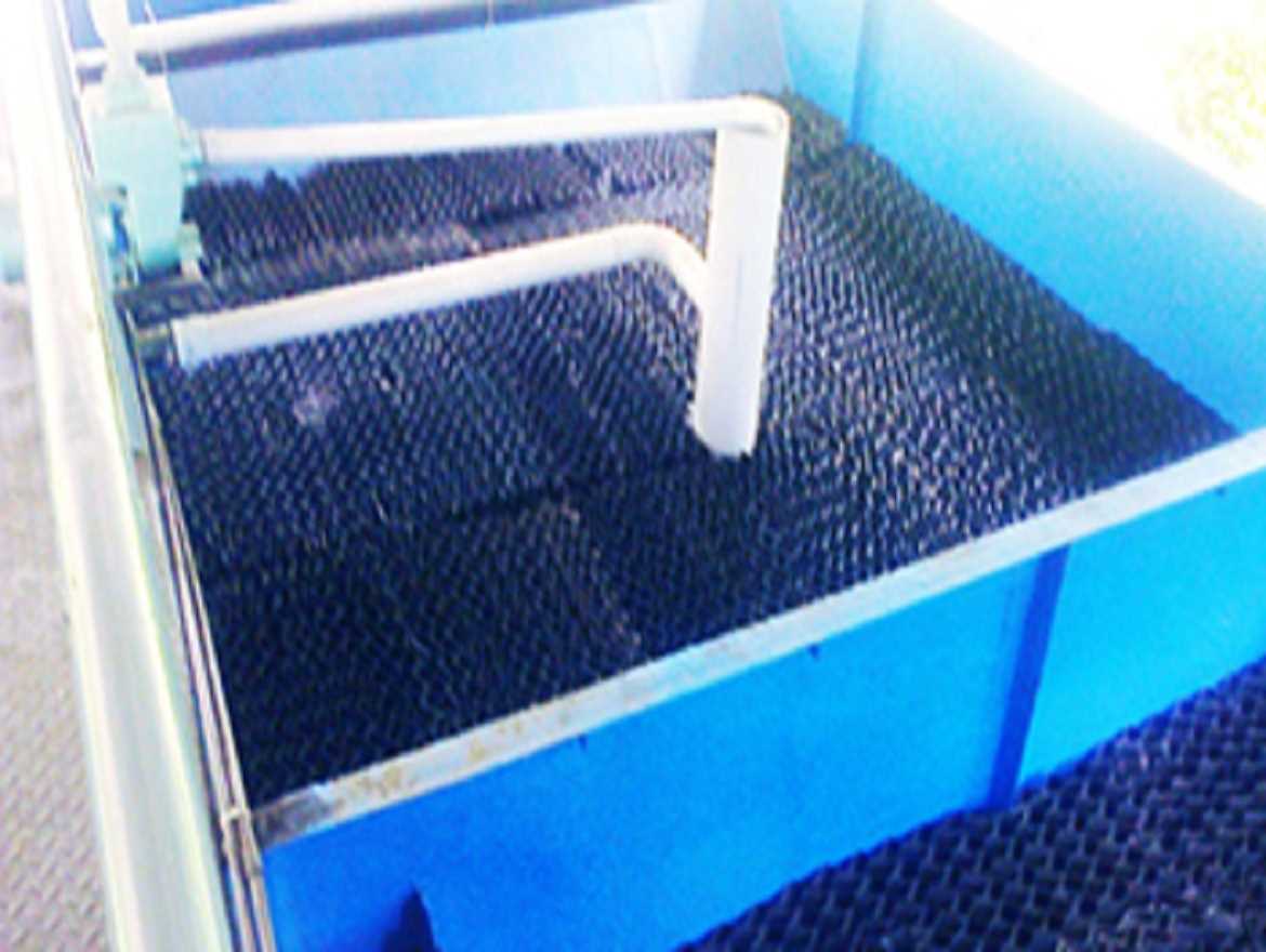 Submerged Aerobic Fixed Film Technology (SAFF) Indian Ion Exchange